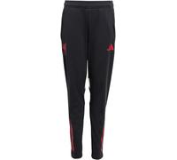 Adidas Liverpool Training Tracksuit Bottoms 2025 2026 Juniors Noir 13-14 ans Male