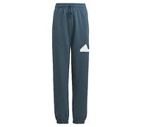 adidas Logo Pantalon, Arcngt/Blanc, 176 Mixte Enfant