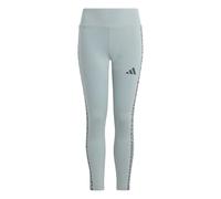adidas Mädchen SEASONALS ANIMAL LEGGINGS, Wonder Sage/Aurora Onix, 14-15 Years