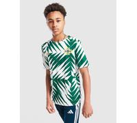 adidas Maillot d'avant-match Irlande du Nord Junior - Vert 9-10Y