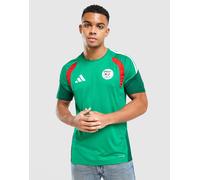 adidas Maillot d'Entraînement Algérie - Vert S