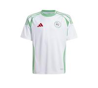 adidas Maillot domicile Algérie pour enfant 2024 2025 Juniors, blanc, 11-12 ans