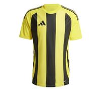 adidas Maillot en jersey rayé 24 pour homme (manches courtes) (1 pièce)