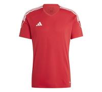 adidas Mens Jersey (Short Sleeve) Tiro 23 JSY, Tepore/White, HT6128, Size L