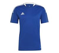 adidas TIRO21 TR JSY Jersey (Short Sleeve) Mens, Team Royal Blue, S