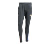 Adidas Olympique Lyonnais Tiro 25/26 Competition Training Pants Gris S / Regular Homme