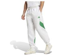 adidas Men's Pantalon Stadium, White/Green, L