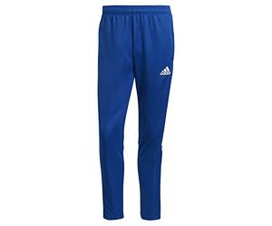 adidas Mens Pants (1/1) Tiro21 TR PNT, Royblu, GJ9870, S EU
