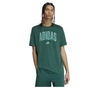 adidas Men's T-Shirt Graphique Collegiate Lineage, Collegiate Green, 2XL