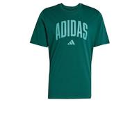 adidas Men's T-Shirt Graphique Collegiate Lineage, Collegiate Green, 4XL
