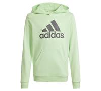 adidas Mixte Enfant Big Logo Essentials Cotton Hoodie, Semi Green Spark/Charcoal, 13-14 Years