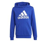 Adidas Mixte Enfant Big Logo Essentials Cotton Hoodie, Semi Lucid Blue/White, 9-10 Years