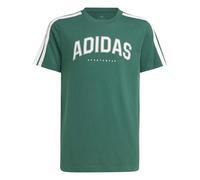 adidas Mixte Enfant Codes Collegiate Graphic T-Shirt, Collegiate Green, 9-10 Years