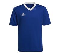 Adidas Ent22 Jsy Y T-Shirt Unisex Kids Bleu royal 7-8 ans Unisex