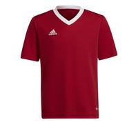adidas Mixte enfant Ent22 Jsy JERSEY SHORT SLEEVE , Tepore, 164 EU