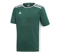 adidas Mixte enfant Entrada 18 Jersey Maillot, Collegiate Green/White, 7 ans EU