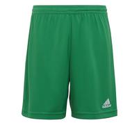 Adidas Shorts Entrada 22 mixte enfant Team Green 5-6 ans