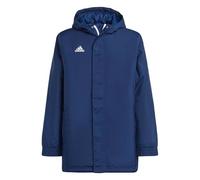 Adidas Ent22 Stadium Jacket Bleu 13-14 Years Garçons,Filles