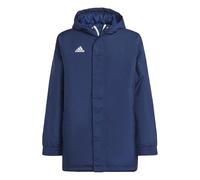 Adidas Ent22 Stadium Jacket Bleu 13-14 Years Garçons,Filles