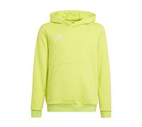 adidas Mixte Enfant Entrada 22 Sweat Hoodie