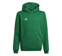 adidas Mixte Enfant Entrada 22 Sweat Hoodie, Team Green/White, 15-16 Years