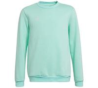 Adidas Mixte Enfant Entrada 22 Sweat Top, Clear Mint, 11-12 Years