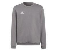 adidas Mixte enfant Entrada 22 Sweat Top, Team Grey Four, 11-12 Years