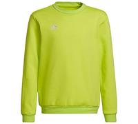 adidas Mixte Enfant Entrada 22 Sweat Top, Team Semi Sol Yellow, 9-10 Years