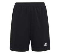 adidas Entrada 22 Training Shorts Mixte Enfant, Black, 7-8 Years