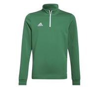 adidas Mixte Enfant Entrada 22 Training Top, Team Green/White, 11-12 Years