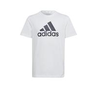 adidas Mixte Enfant Essentials Big Logo Cotton Tee, White/Black, 15-16 Years
