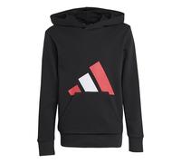 adidas Mixte Enfant Essentials BIG Logo Hoodie, Black/Pure Ruby/White, 9-10 Years