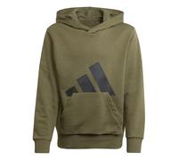 adidas Mixte Enfant Essentials BIG Logo Hoodie, Olive strata/Black, 15-16 Years