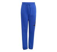 Adidas Mixte Enfant Essentials BIG Logo Pants, Team Royal Blue/Black, 13-14 Years