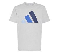adidas Mixte Enfant Essentials Big Logo Shirt, Light Grey Heather/Glow Blue/Team Royal Blue/Dark Blue, 9-10 Years