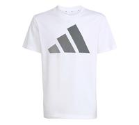 adidas Mixte Enfant Essentials Big Logo Shirt, White/Grey Three/Grey Four/Grey Five, 15-16 Years