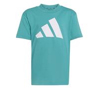 Adidas Mixte Enfant Essentials BIG Logo T-Shirt, Pure Teal/White, 3-4 Years