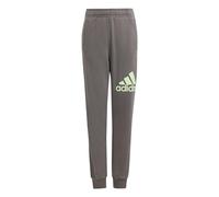 adidas Mixte Enfant Essentials Regular Fit Big Logo Cotton Pants, Charcoal/Semi Green Spark, 15-16 Years