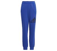 adidas Mixte Enfant Essentials Regular Fit Big Logo Cotton Pants, Semi Lucid Blue/Legend Ink, 15-16 Years