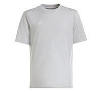 adidas Mixte Enfant Jersey (Short Sleeve) Tabela 23 JSY Y, Team Light Grey/White, IA9153, 176
