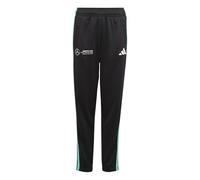 adidas Mixte Enfant Mercedes - AMG Petronas Formula One Team DNA Pant Youth, Black/White, 11-12 Years