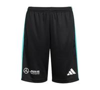 Adidas Mixte Enfant Mercedes - AMG Petronas Formula One Team DNA Short Youth, Black/White, 15-16 Years