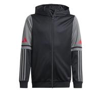 Adidas Mixte Enfant SQUADRA25 Hoody Kids Black/Team Grey Four/Pure Ruby, 13-14 Years