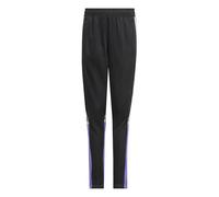 adidas Mixte Enfant SQUADRA25 Training Pant Kids, Black/Purple Rush, 15-16 Years