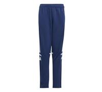 adidas Mixte Enfant SQUADRA25 Training Pant Kids, Team Navy Blue 2/White, 11-12 Years