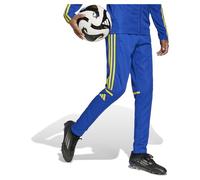 adidas Mixte Enfant SQUADRA25 Training Pant Kids, Team Royal Blue/Team Yellow, 11-12 Years