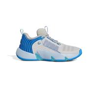 adidas Mixte Trae Unlimited Shoes Chaussures de Basket-Ball, Dash Grey/Metal Grey/Bright Blue, 44 2/3 EU