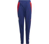 Adidas Olympique Lyonnais Tiro 24 Training Tracksuit Bottoms Juniors Midnight Indigo 13-14 ans Male