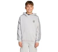 Adidas Orginals X Minecraft Enfant - Sweats à capuche, Gris - Taille 153 - 158 CM - Jersey de coton Grey 153 - 158 CM