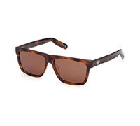 Adidas Originals Or0147 Sunglasses Marron Brown/CAT3